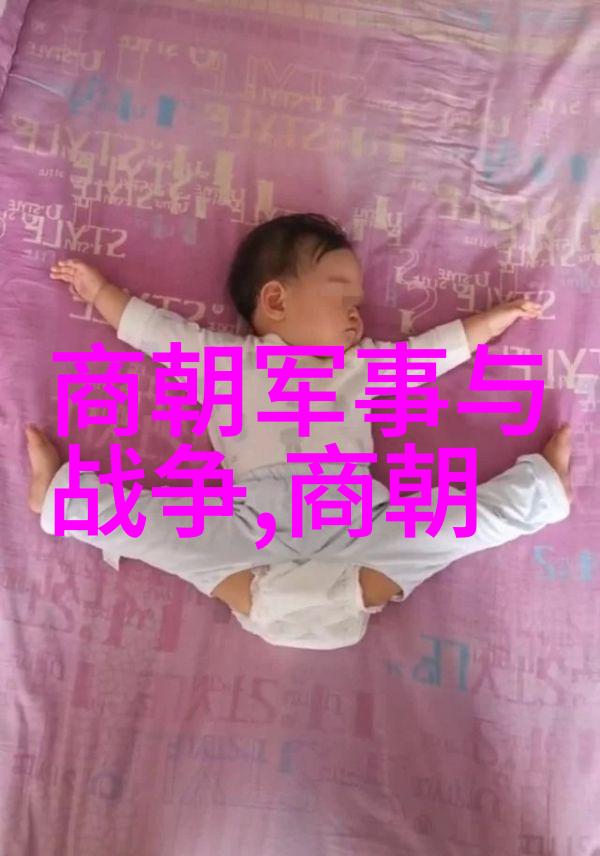 在中国历史上第一次采用纸币支付的是哪一朝 dynasty