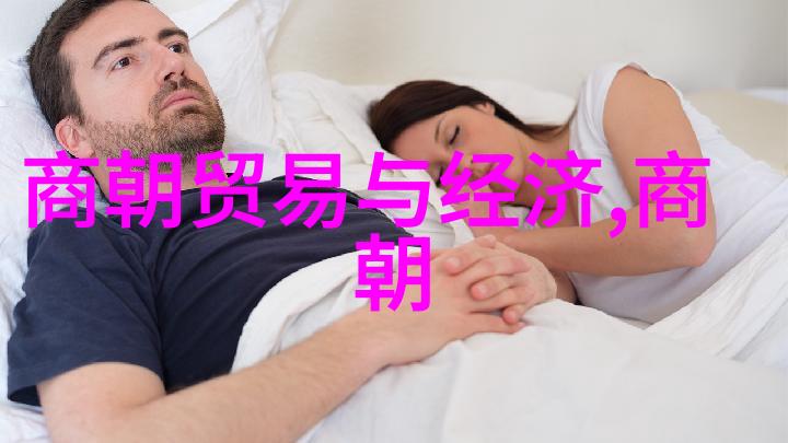 碧波荡漾宋朝历史app的沉浮与辉煌