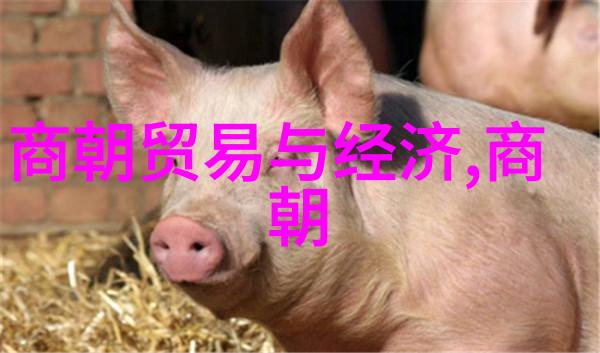 北魏统一六镇之战及其对后世影响