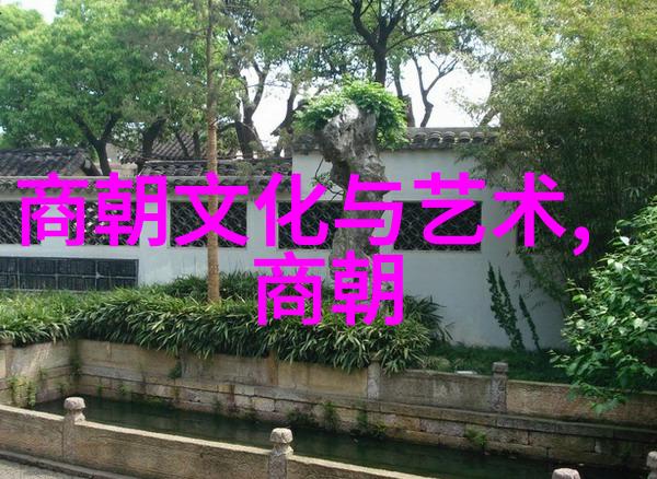 历代王朝的守护者杨式太极拳与徐德福的智慧对话