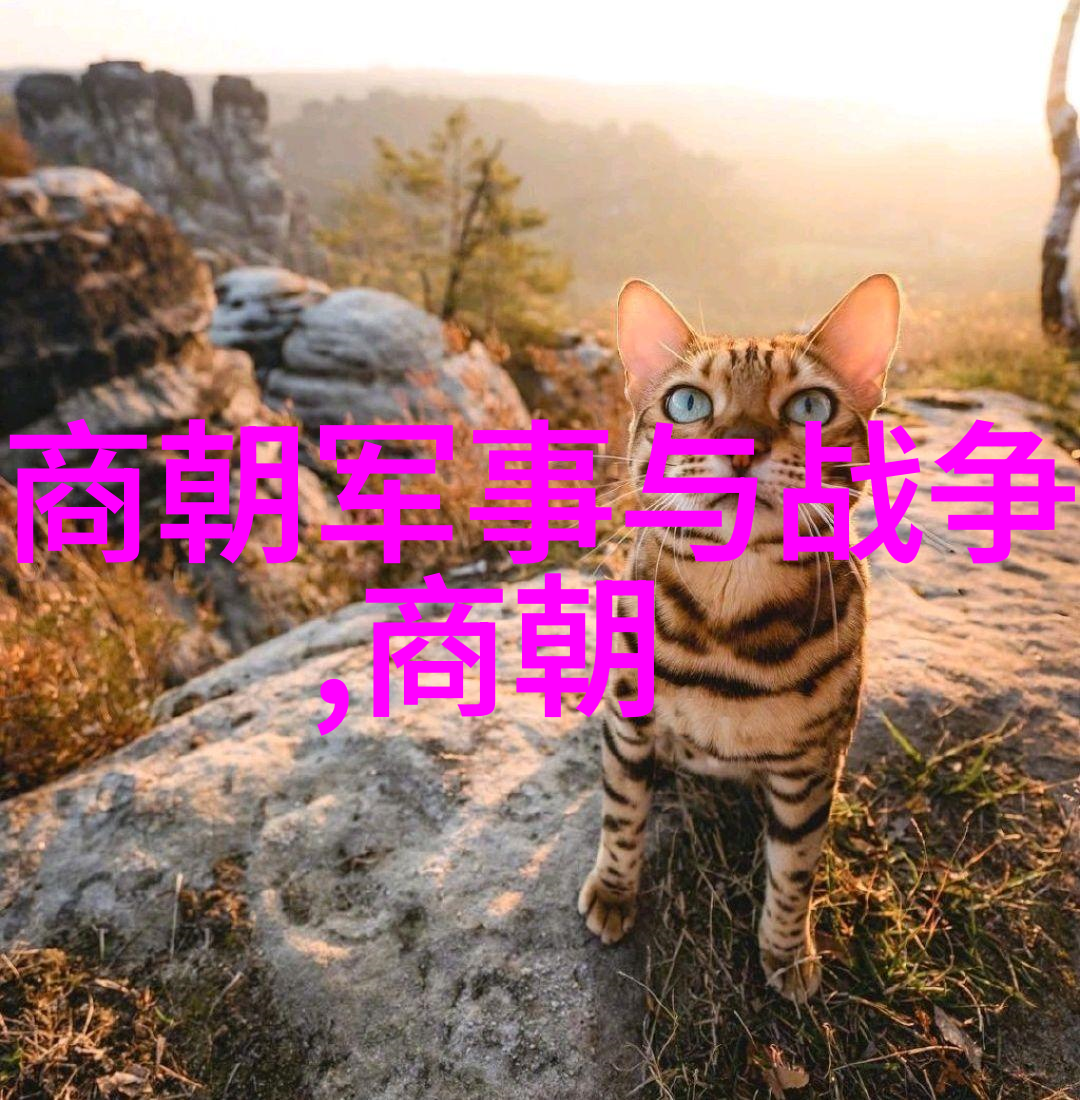 中国大明历史我国古代的辉煌与变迁从建都南京到抗倭战争的故事