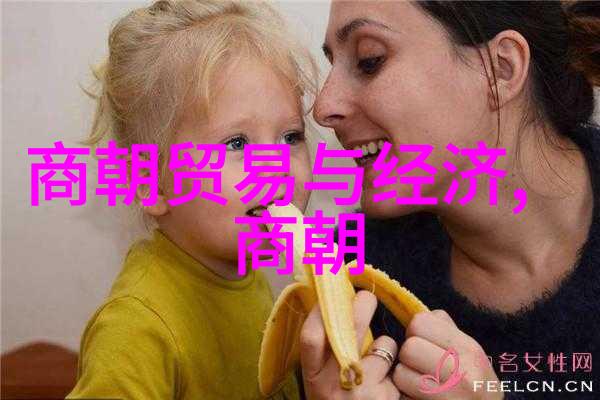 朝代更迭的长河历时千年的统治与变迁