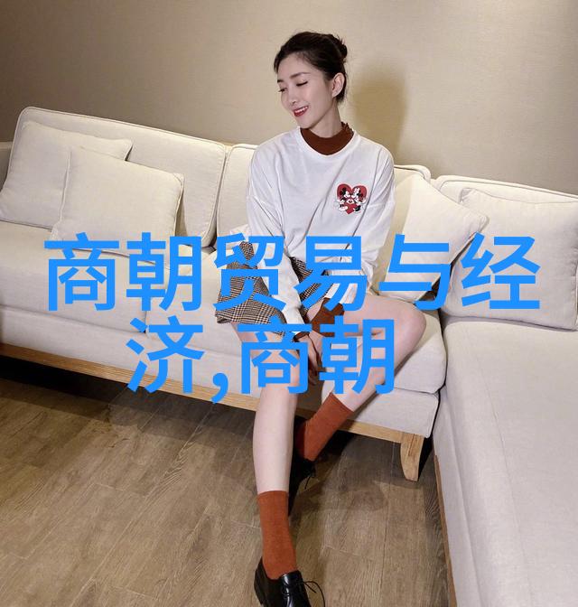 明朝历史讲解视频跟着老徐一起走进时光的长廊