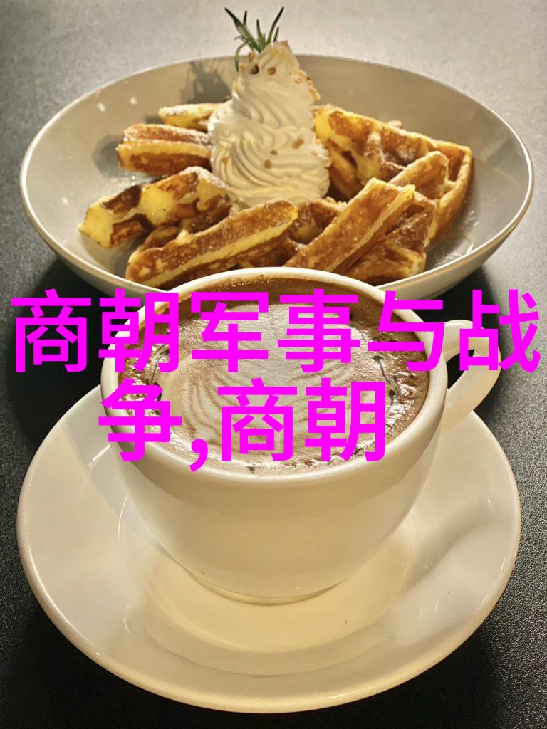 土木堡之耻明朝的围城记