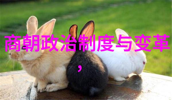 朱元璋不选朱棣的原因探究明朝开国皇帝选择继承人的历史背景