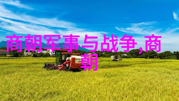 明朝帝王辉煌录揭秘历代皇帝的政绩与文化贡献