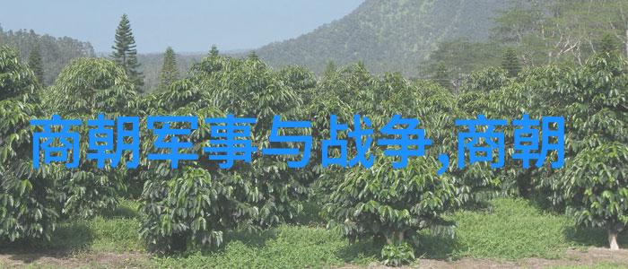 相对湿度hz在下小神j笔趣阁-幻境中的湿度探秘小神与Hz的奇妙世界