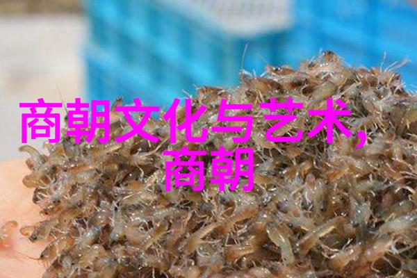 白洁一夜7次情欲纠葛的沉浮