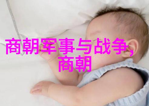 文化变迁与政权更替如何计算出中国历史上的所有朝代总数