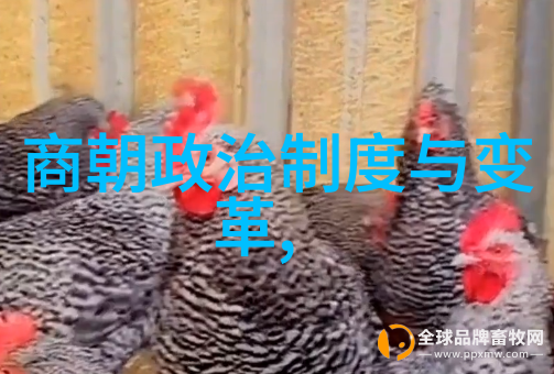 明朝历程龙凤盛世与倭寇威胁