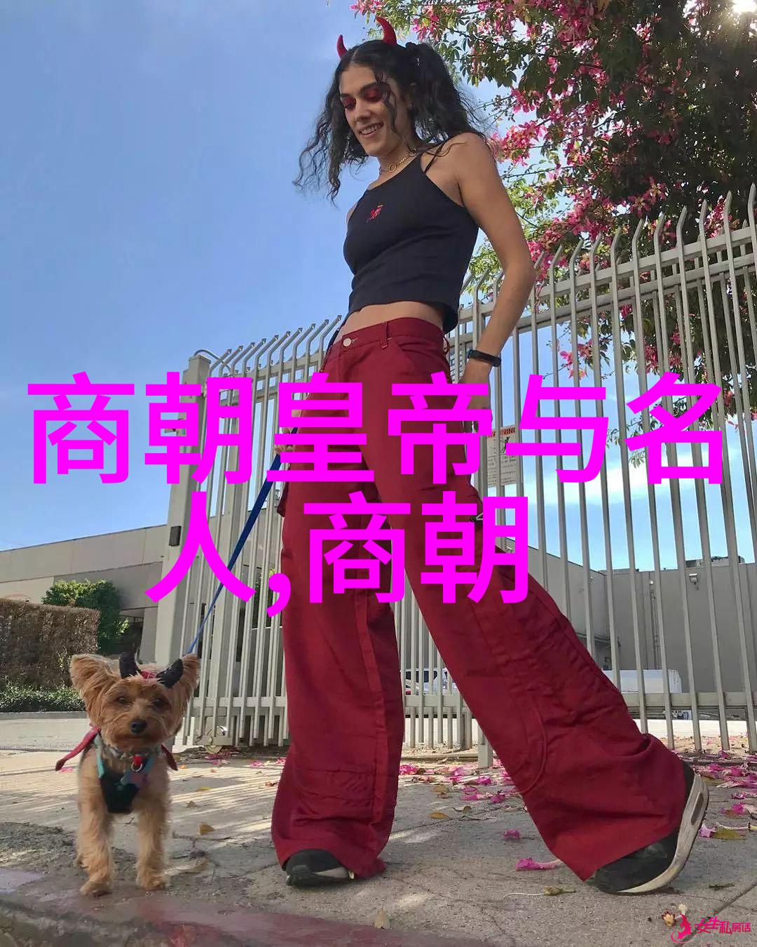 秦汉两朝帝国统一与文化融合