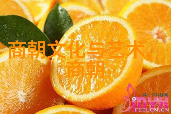 萨米赫迪拉下白石龙中国文化名人大营救纪念馆揭秘背后的悬念