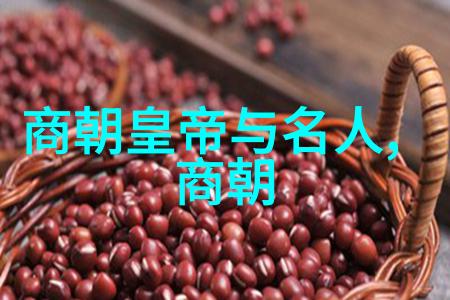 科举制度下的知识分子世界观从明朝金句看待科举考场精神