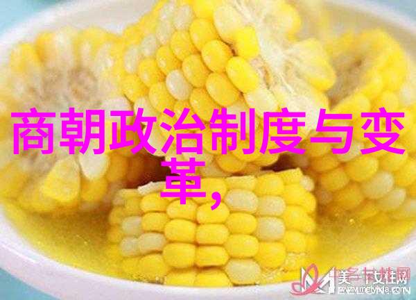 元朝的著名宰相脱脱元朝历史上的杰出政治家和军事领袖