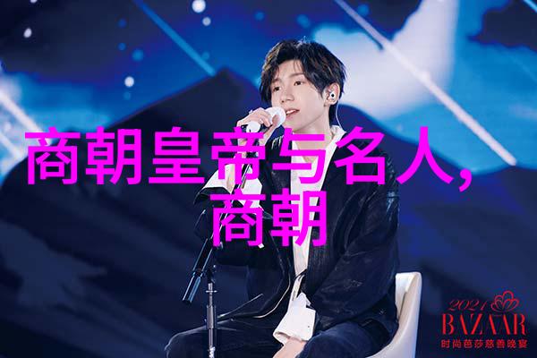 赵兵伟豫剧票友李天方曲剧大全中的独特之声
