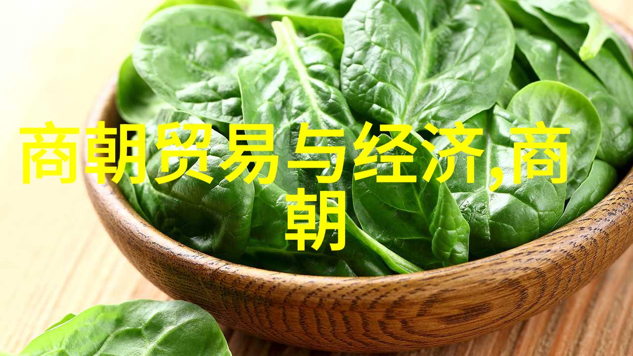 随着元朝衰败你认为最重要的是他们废除的一项制度又是哪一项
