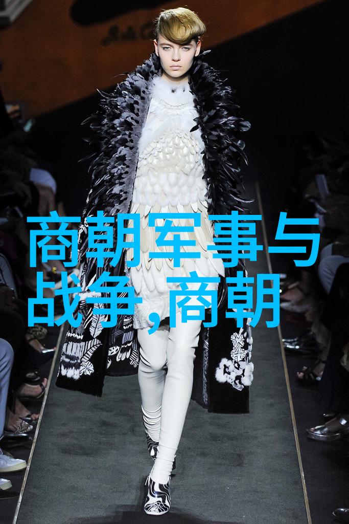 辽金之谜历史的遗漏与真实