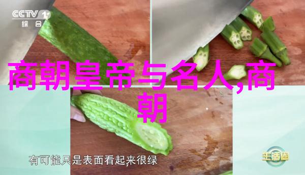 皇家御膳房里的秘方与传说揭秘元朝宫廷菜谱