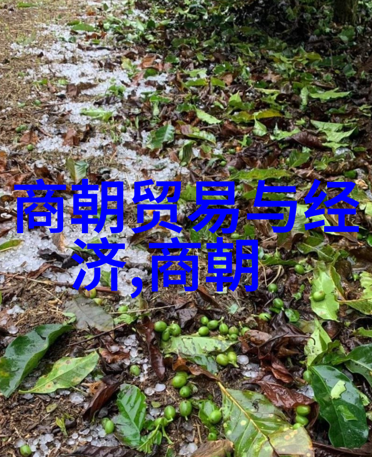 宿舍里的逆袭全是1V3的奇妙故事