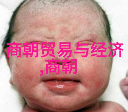 历史迷雾中寻觅真相明朝哪本书最值得一读