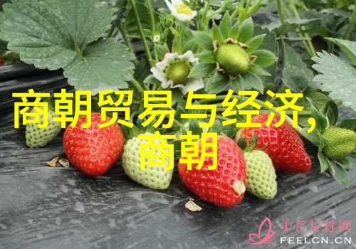 儿童睡前故事精选100篇温馨童话夜晚