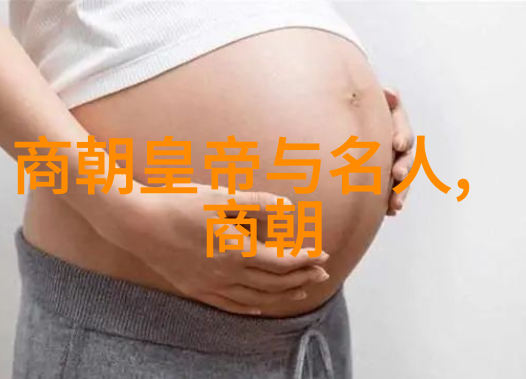 历史探索-南宋末日明朝的兴起与中国史的转折