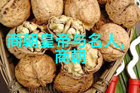 明朝列人名录聊聊那些位高官的排行与关系