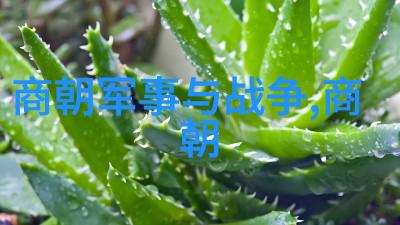 千秋霜雪与春风暖中国朝代历史时间图表