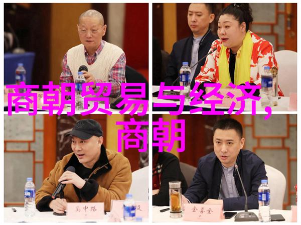 杨兰春豫剧之魂杨兰春电影版豫剧打金枝全场的导演