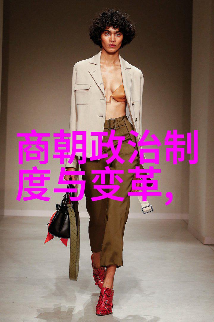 历史谜团-岳飞之死与靖康之耻一场未解的历史悲剧