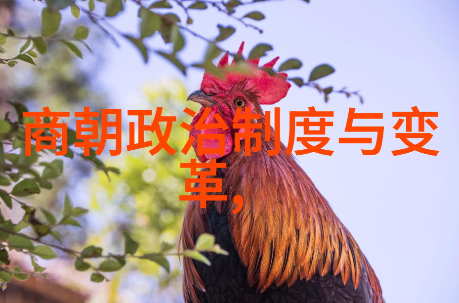 张肖伧探索京剧深邃解读人物特点之韵味悠长