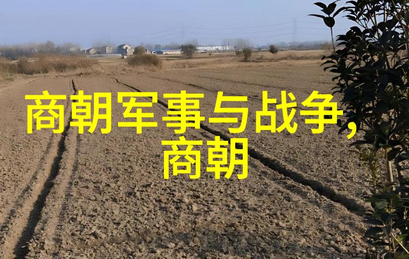 我来告诉你明朝那些事儿名将名臣的辉煌岁月