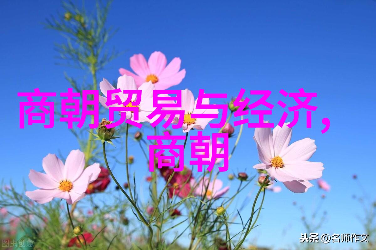 明英宗之称历史考量与帝号背后的故事