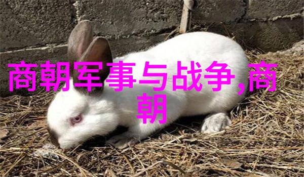 明朝那些事儿揭秘历史的真相与神话