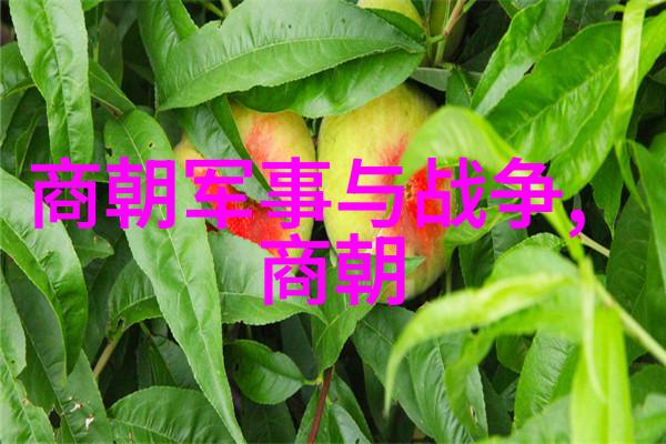 城市转型中的小偷王子一个不为人知的盗贼传说