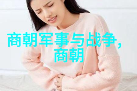 明朝年龄世系表的编制历程如何