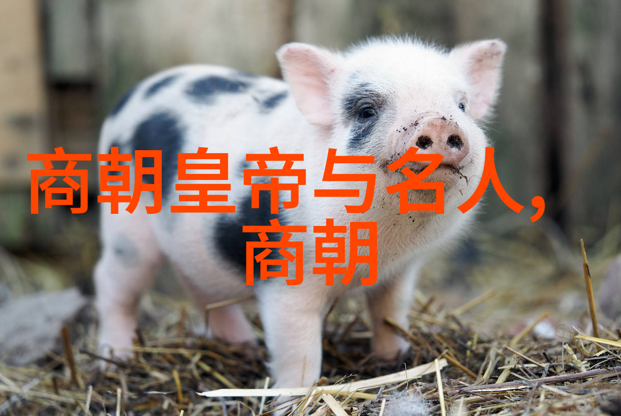 历史纷争-南宋与北宋分裂的缘由与影响