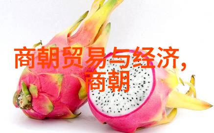 努尔哈赤为何不传位给多尔衮后金政权继承人选择的迷雾