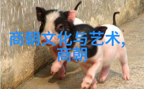 中国历史的长河从黄帝到清朝的帝王之旅