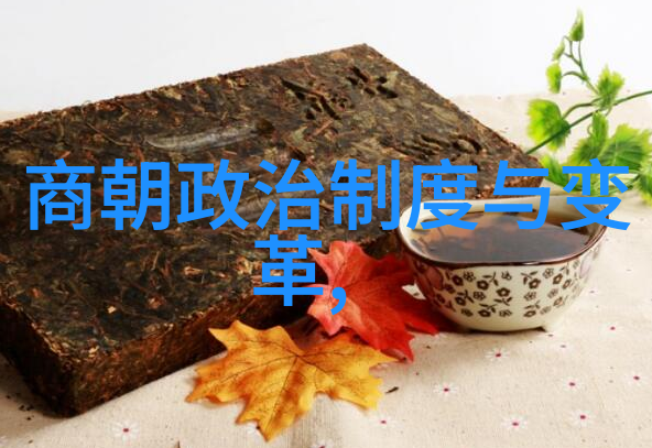 超越极致探索高性能汽车与丰富肌肉体验的完美结合