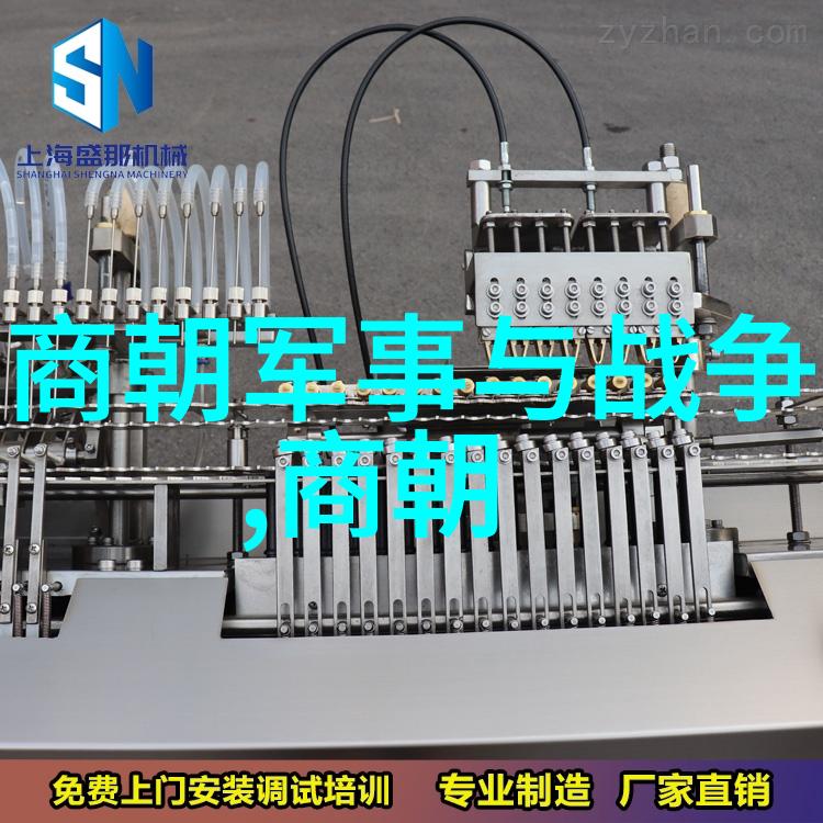 努尔哈赤的继承人之谜为何不选择多尔衮为后继者