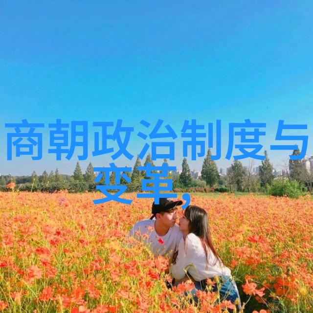明朝的铁血立国与民族精神深度探究