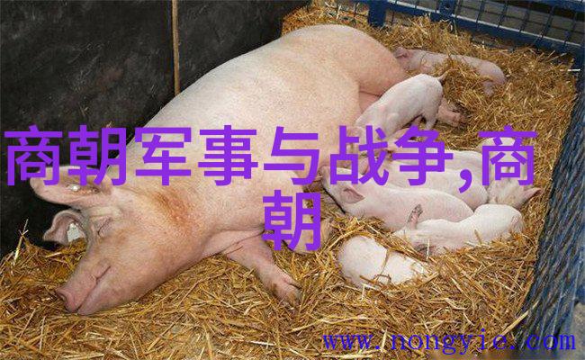 西晋第一美男子有没有什么大成就