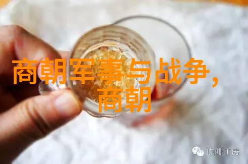 霍元甲历史军事数据解析