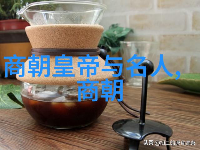 辽金为什么不列入正史我猜测那些历史书里怎么就没有我们