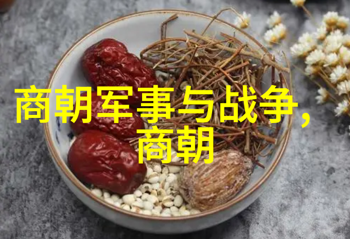 辉煌一朝沉浮千年探秘元代崩溃的迷雾