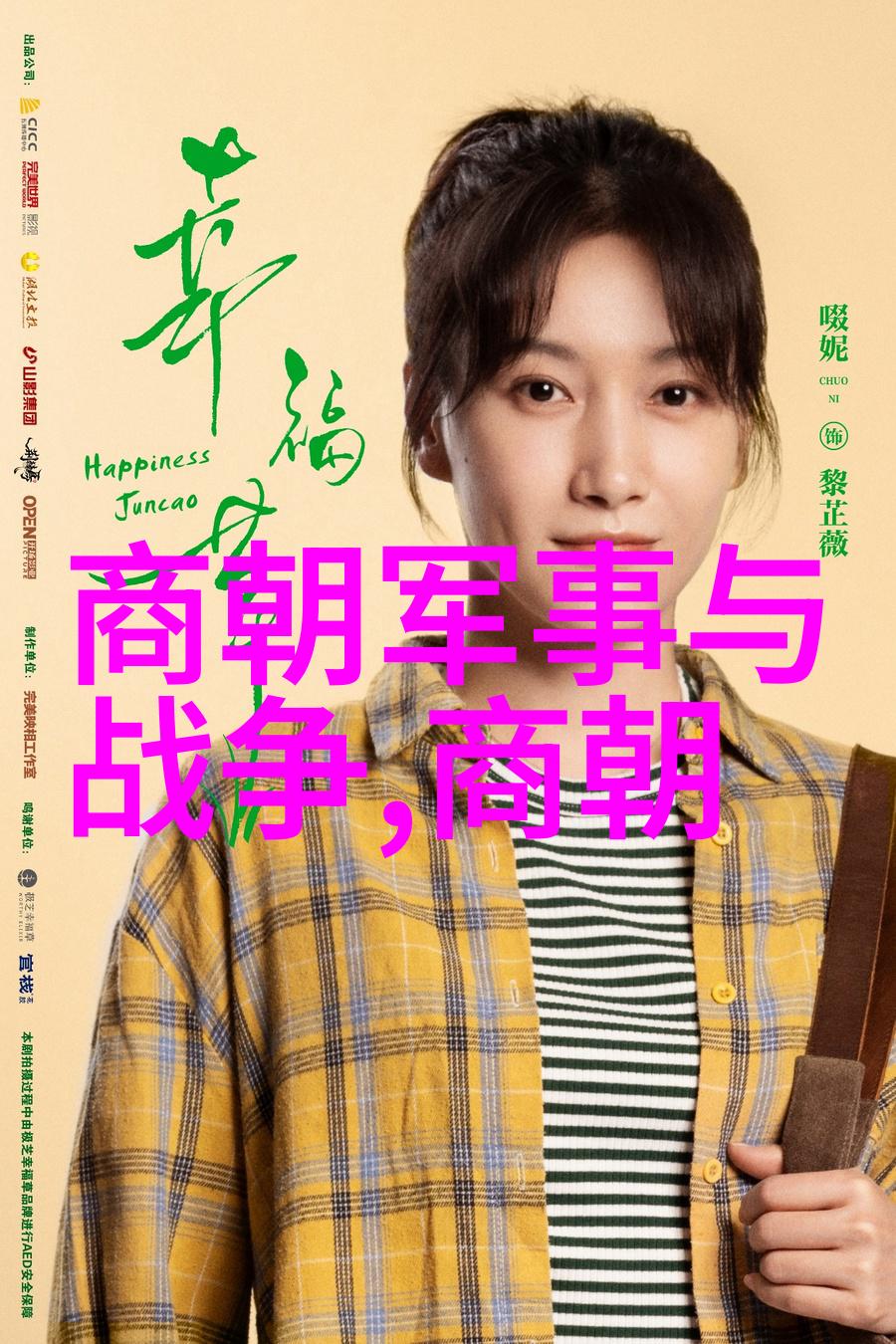 历史探索-穿越时空一览中国历朝代的画像石与砖画