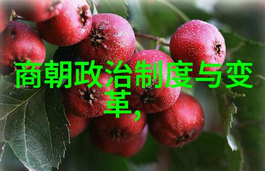 朱允炆下落之谜我亲历的那个未解之谜