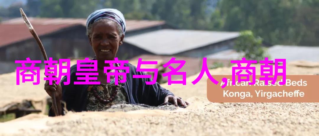 明朝那些事儿余晖与沉浮的往昔
