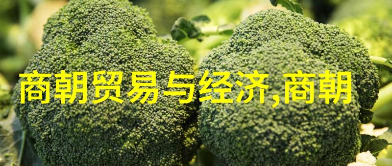 明朝那些事读后感大学-穿越时空的历史探索明朝那些事在大学生的阅读体验中